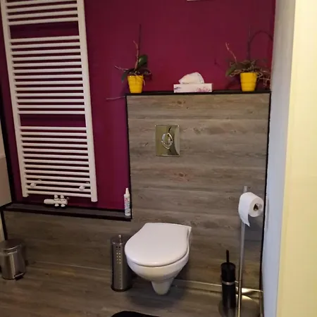 Sommertraum, Netflix