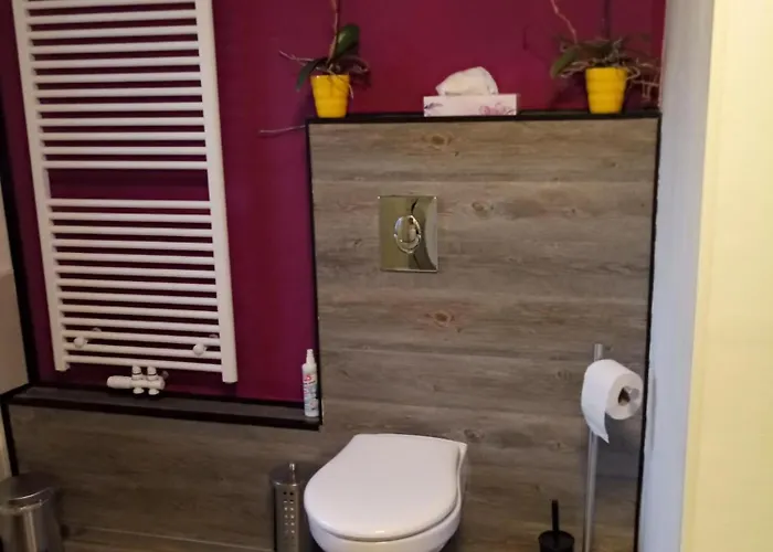 Sommertraum, Netflix